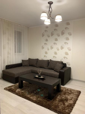 Sunny Apartments Suceava